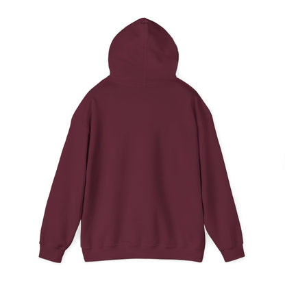 PVP Money Token Heavy Blend™ Hooded Sweatshirt