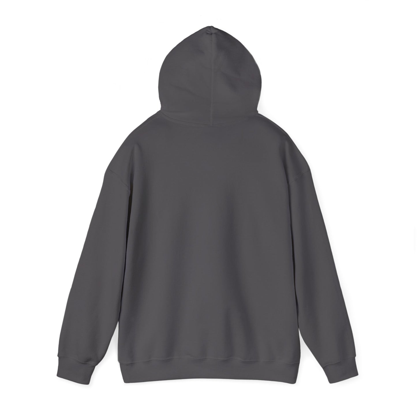 PVP Money Token Heavy Blend™ Hooded Sweatshirt