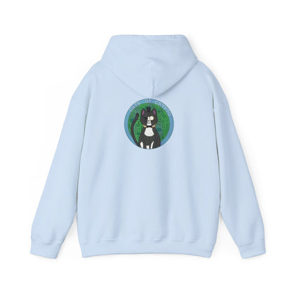 Cats of Crypto Hooded Sweatshirt