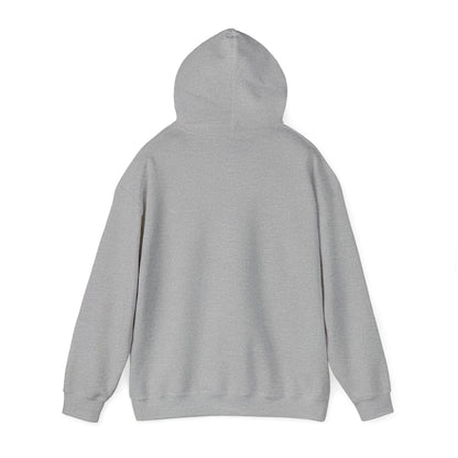 PVP Money Token Heavy Blend™ Hooded Sweatshirt