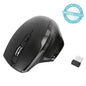 BlueTrace Ergonomic Wrls Mouse