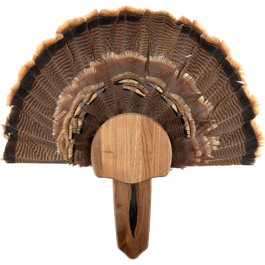 Walnut Hollow Turkey Mount Kit Walnut