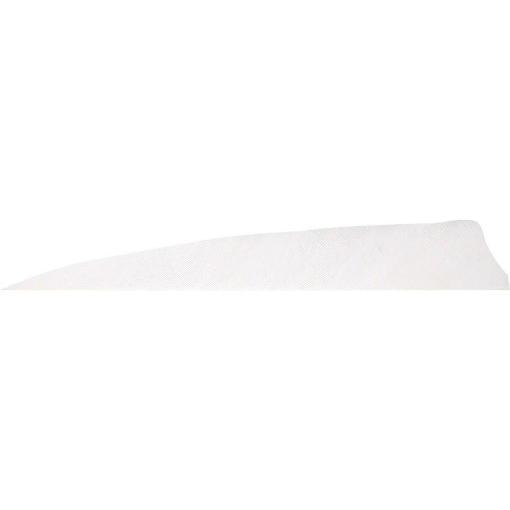 Gateway Shield Cut Feathers Flo White 4 In. Rw 50 Pk.