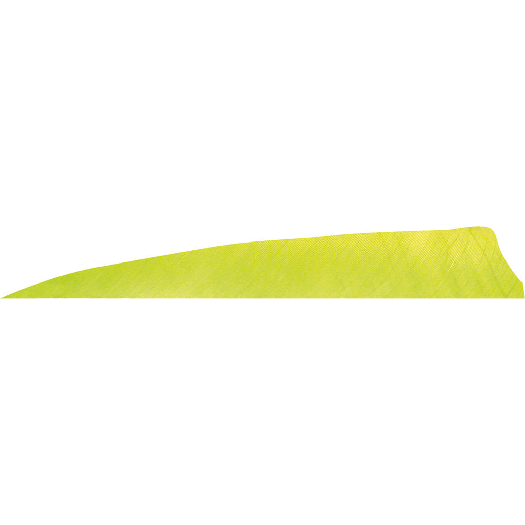 Gateway Shield Cut Feathers Lemon Lime 4 In. Rw 50 Pk.