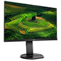 24" IPS Display Monitor