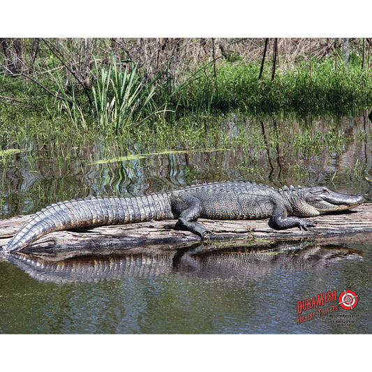 Duramesh Archery Target Alligator 25 In. X 32 In.