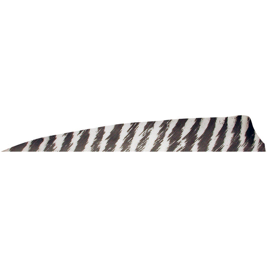 Gateway Shield Cut Feathers Barred White 4 In. Rw 100 Pk.